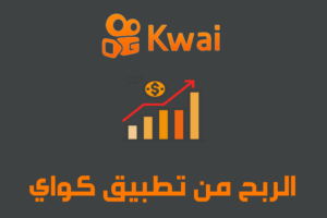 الربح من تطبيق كواي